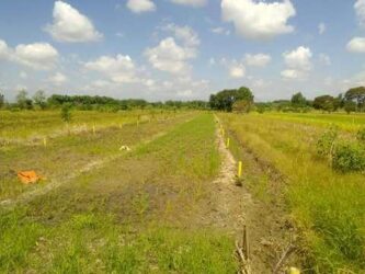 Jual Tanah Kavling Tabungan Masa Depan